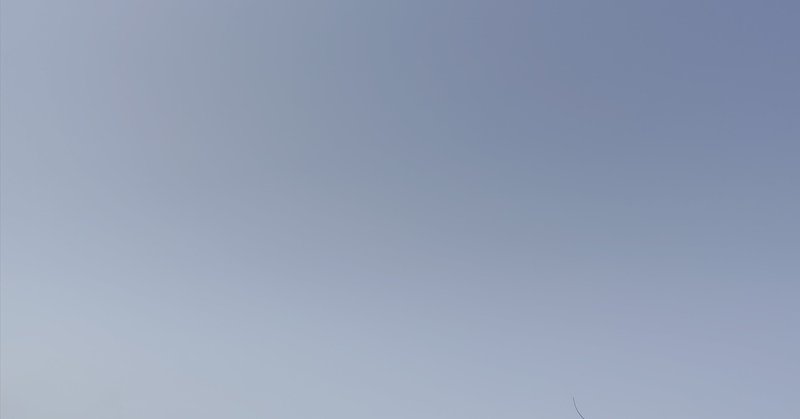 剪定を振り返る