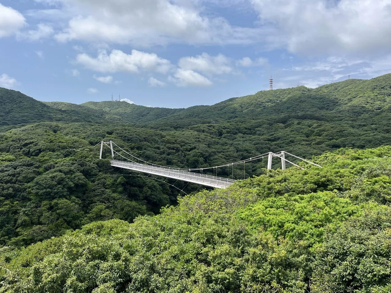 石垣・八重山 原色の自然と人に出会う旅3 石垣島編｜エリジーニャ