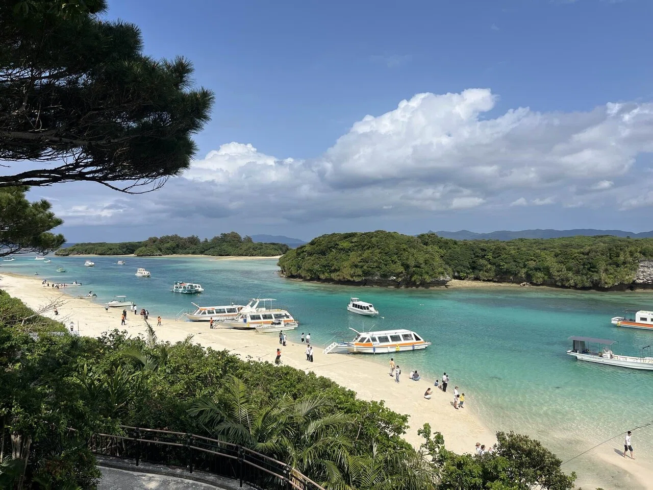石垣・八重山 原色の自然と人に出会う旅3 石垣島編｜エリジーニャ