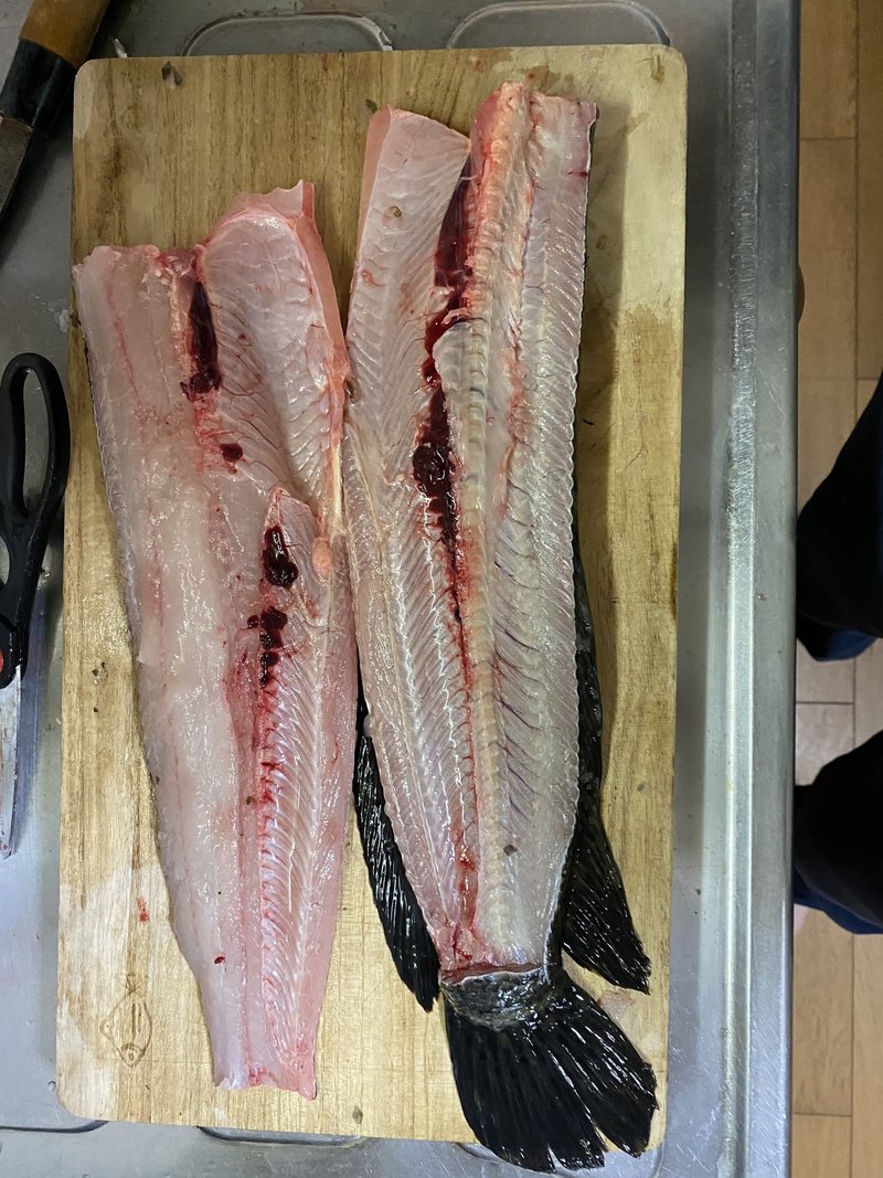 川の珍味雷魚を食べる かず Note 川の珍味雷魚を食べる かず Note