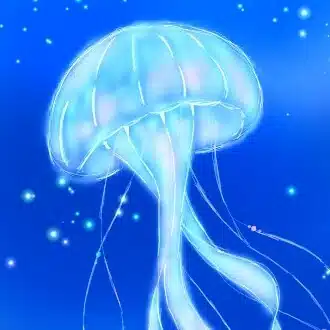 海月ちゃん