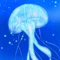 海月ちゃん