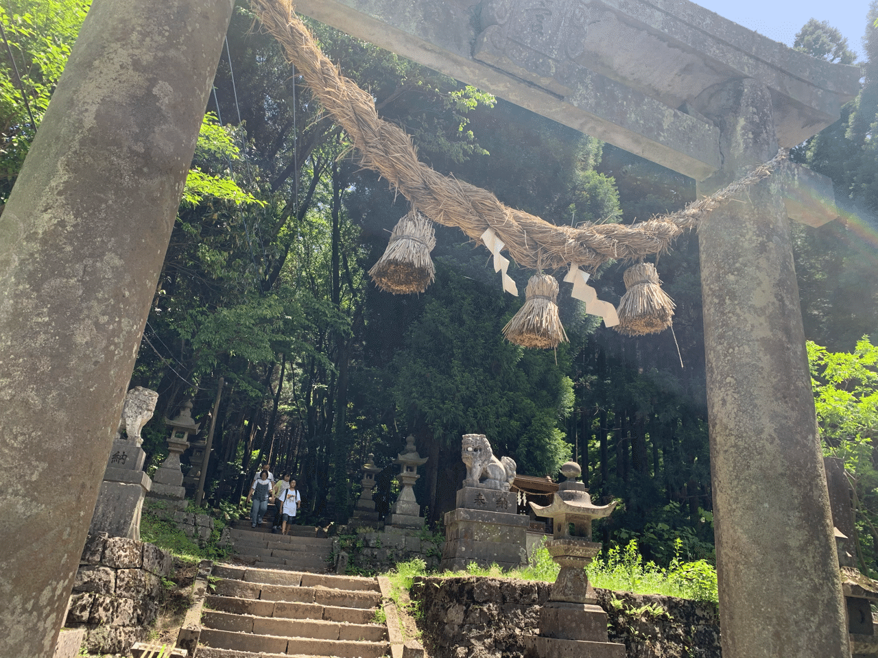 ジブリ的パワースポット わーちゅん Note