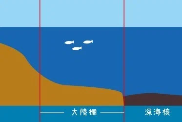 画像25
