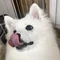 ハクち