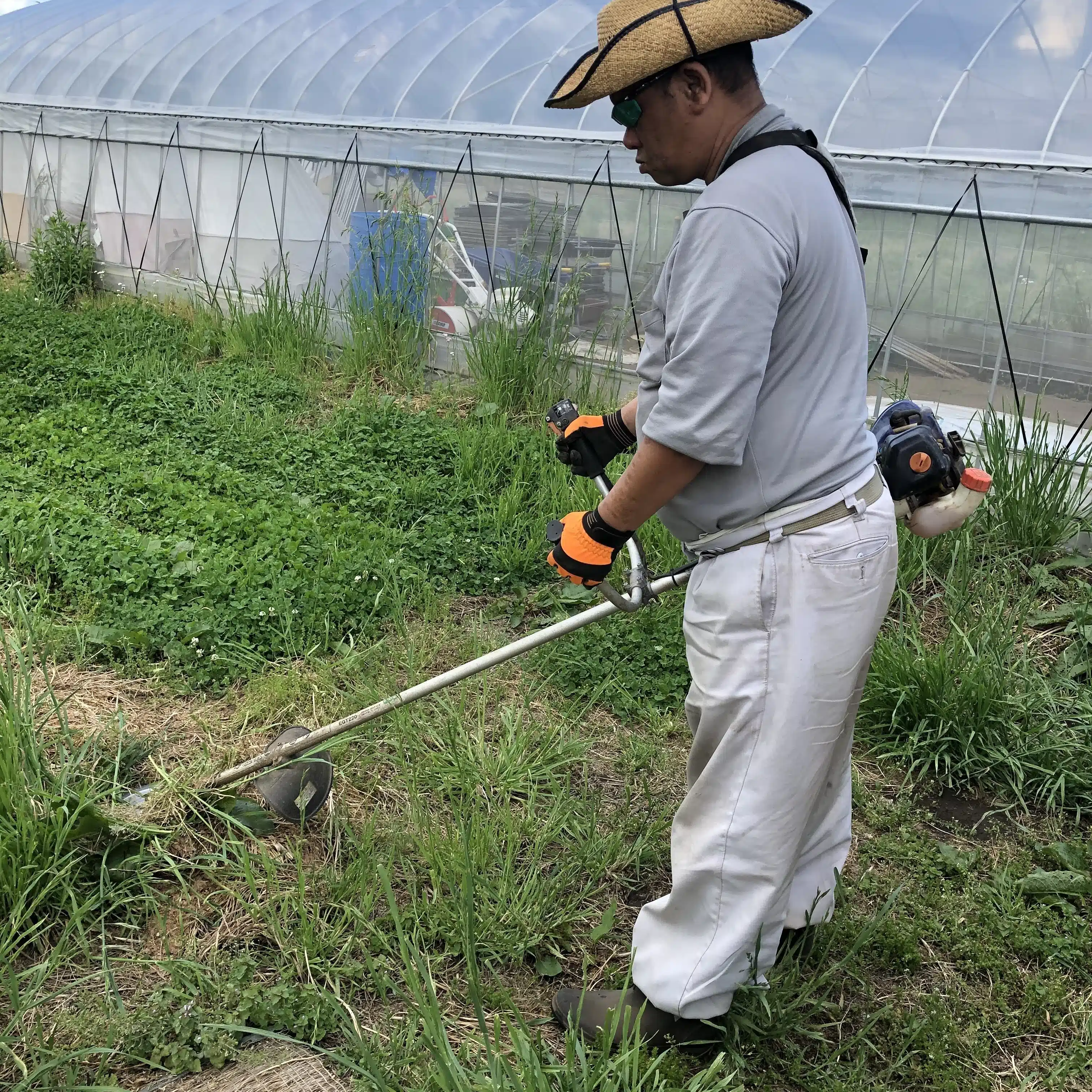 トマト屋さん