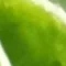 seido_shogo