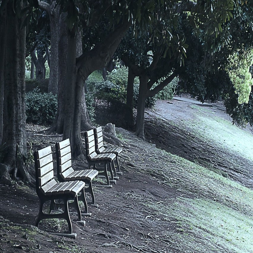 自粛六尺 新コロ禍 誰も座らない公園のベンチ スナップ寅さん Note