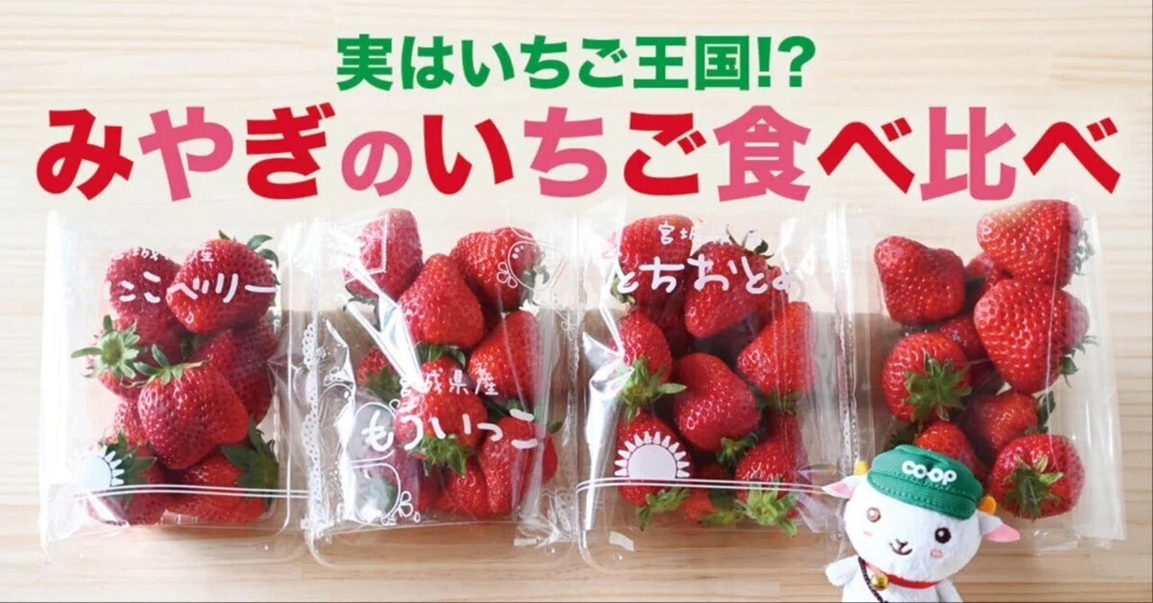 宮城のいちご4種を食べ比べ！味・食感の違いが想像以上だった｜みやぎ