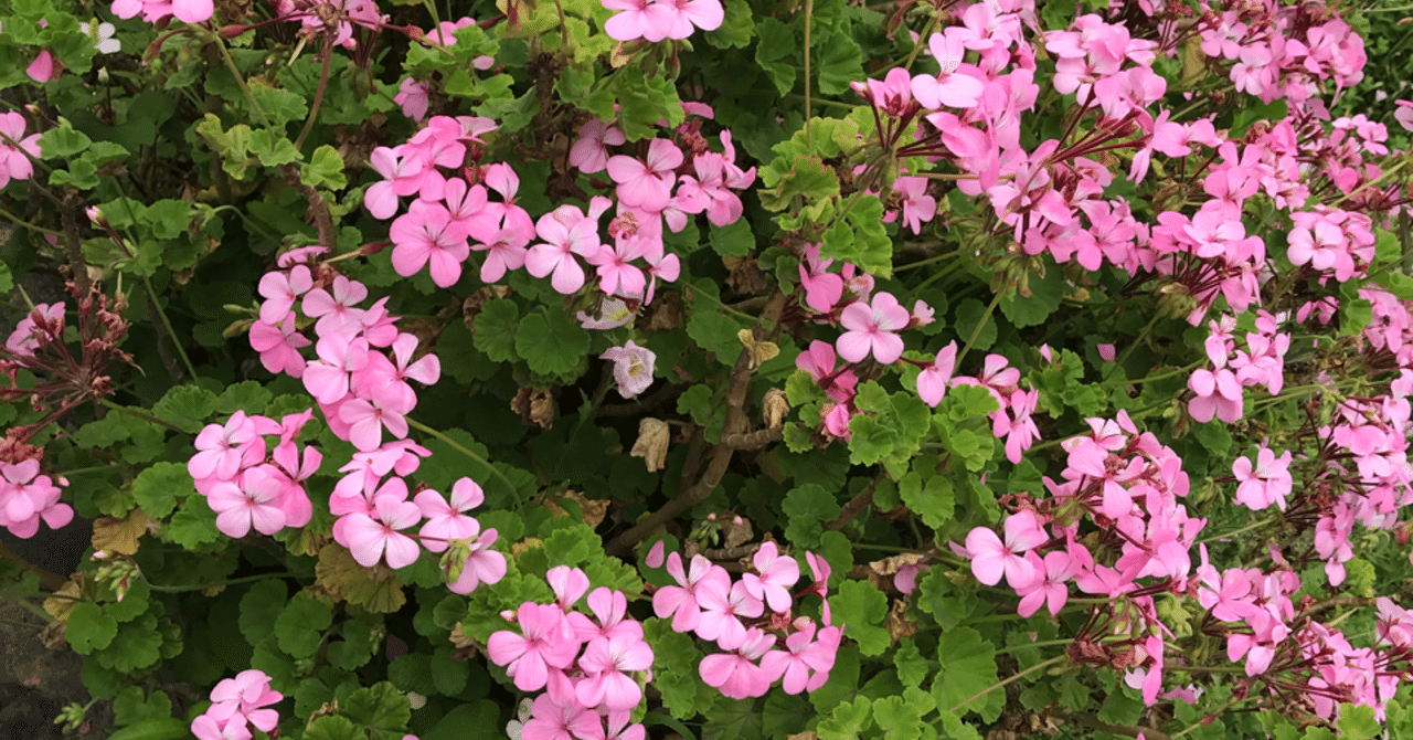 おもちゃ の新着タグ記事一覧 Note つくる つながる とどける