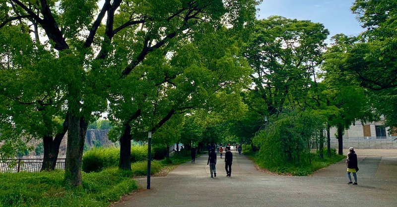 【気になることはやってみる。気になることをどうするかまず決める】