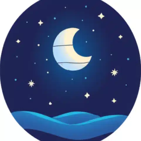 星降る夜のメモ
