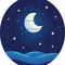星降る夜のメモ