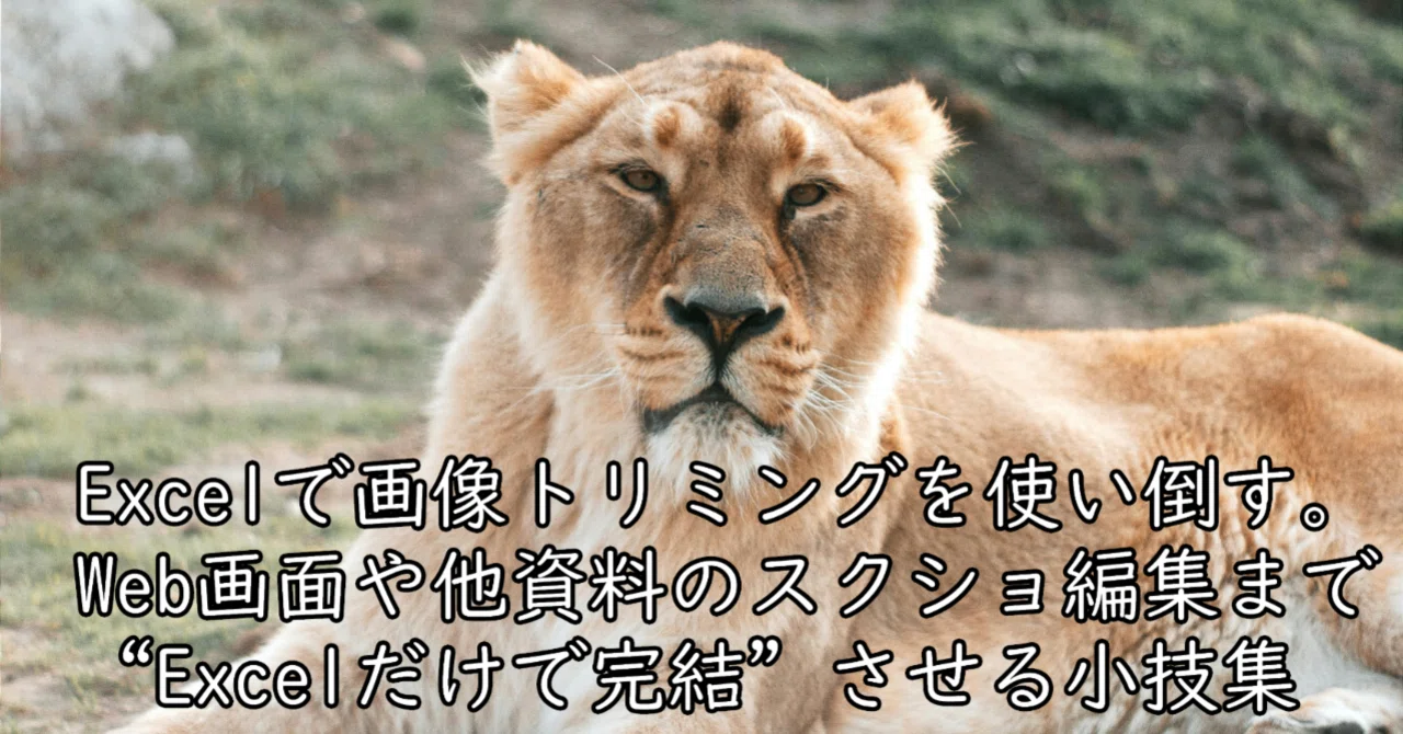 Rectangle Excel Excelで画像トリミングを使い倒す。 ― Web画面や他資料のスクショ編集まで“Excelだけで完結”させる小技集 ― |ペペロンチーノ ...