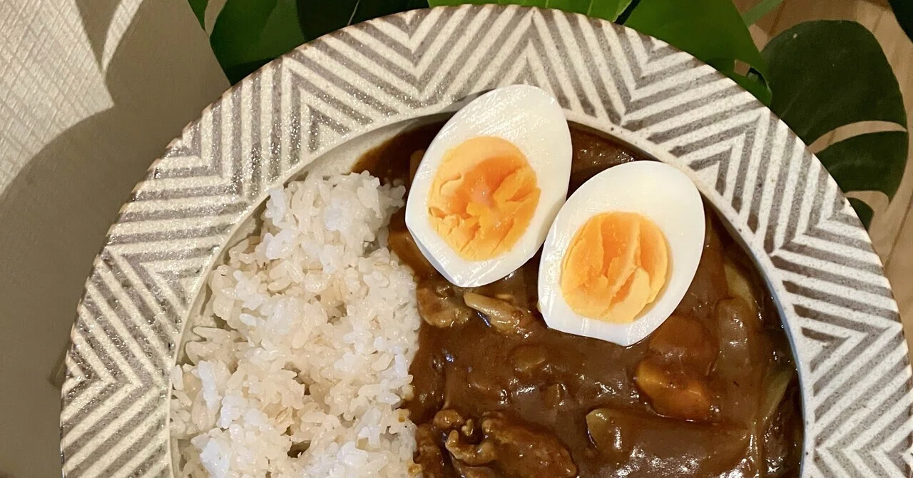 I Cannot Eat Second-Day Curry｜れお