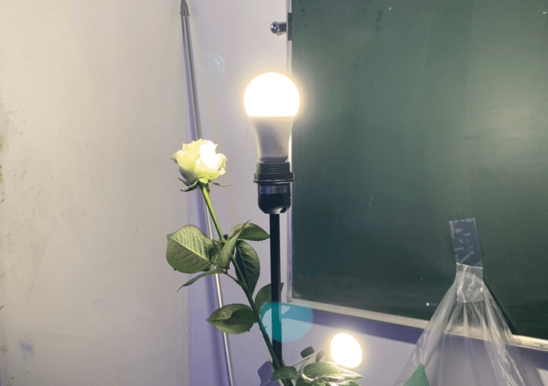 私が紫を好きな理由 色 に付き纏うジェンダーバイアス Rm Note