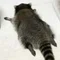 どうにかなあれ