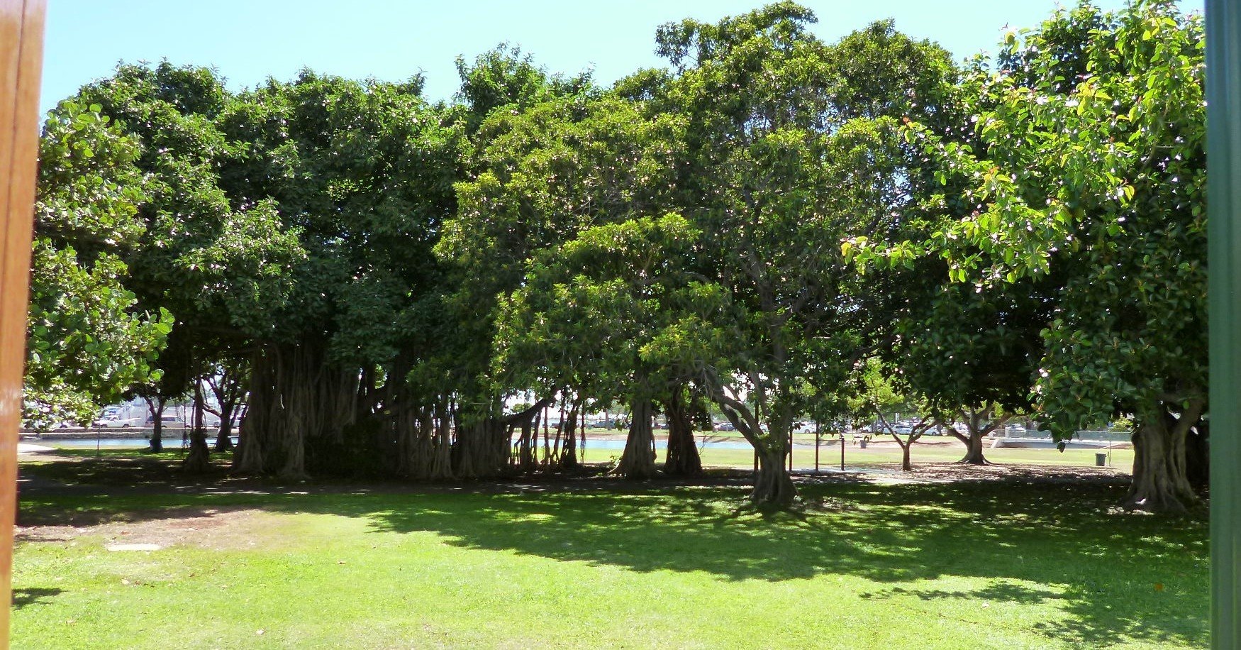 赤毛のアン 無料サイト みから 未絡 Micara Note 赤毛のアン 無料サイト みから 未絡 Micara Note