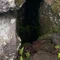 あし