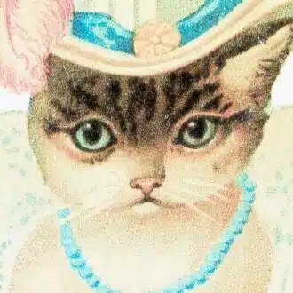 🎀映画を観る猫ちゃん😸🎀