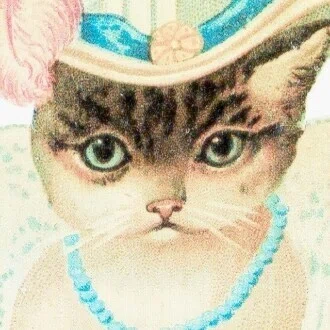 🎀映画を観る猫ちゃん😸🎀