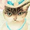 🎀映画を観る猫ちゃん😸🎀