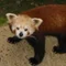 よだん