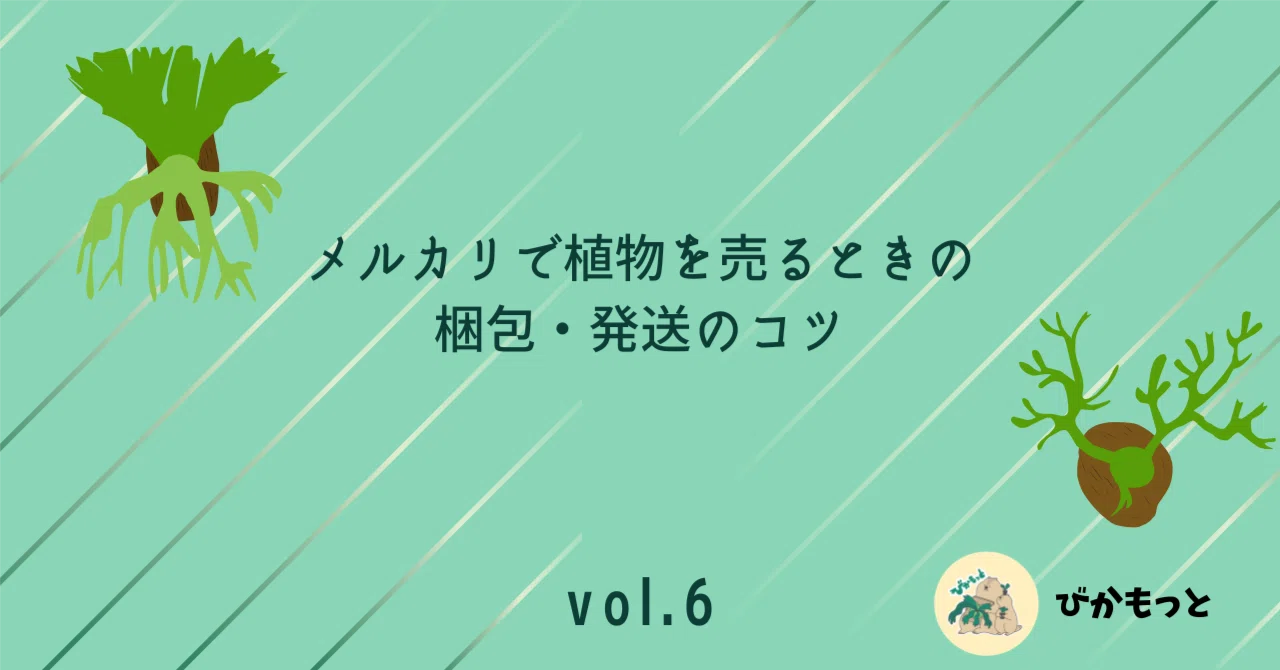 メルカリで植物を売るときの梱包・発送のコツ｜ビカクシダを無事に