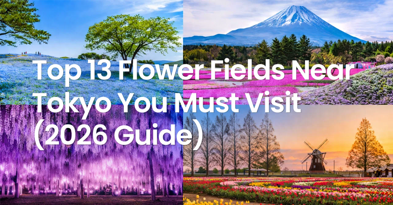 🌸 Top 13 Flower Fields Near Tokyo You Must Visit (2026 Ultimate