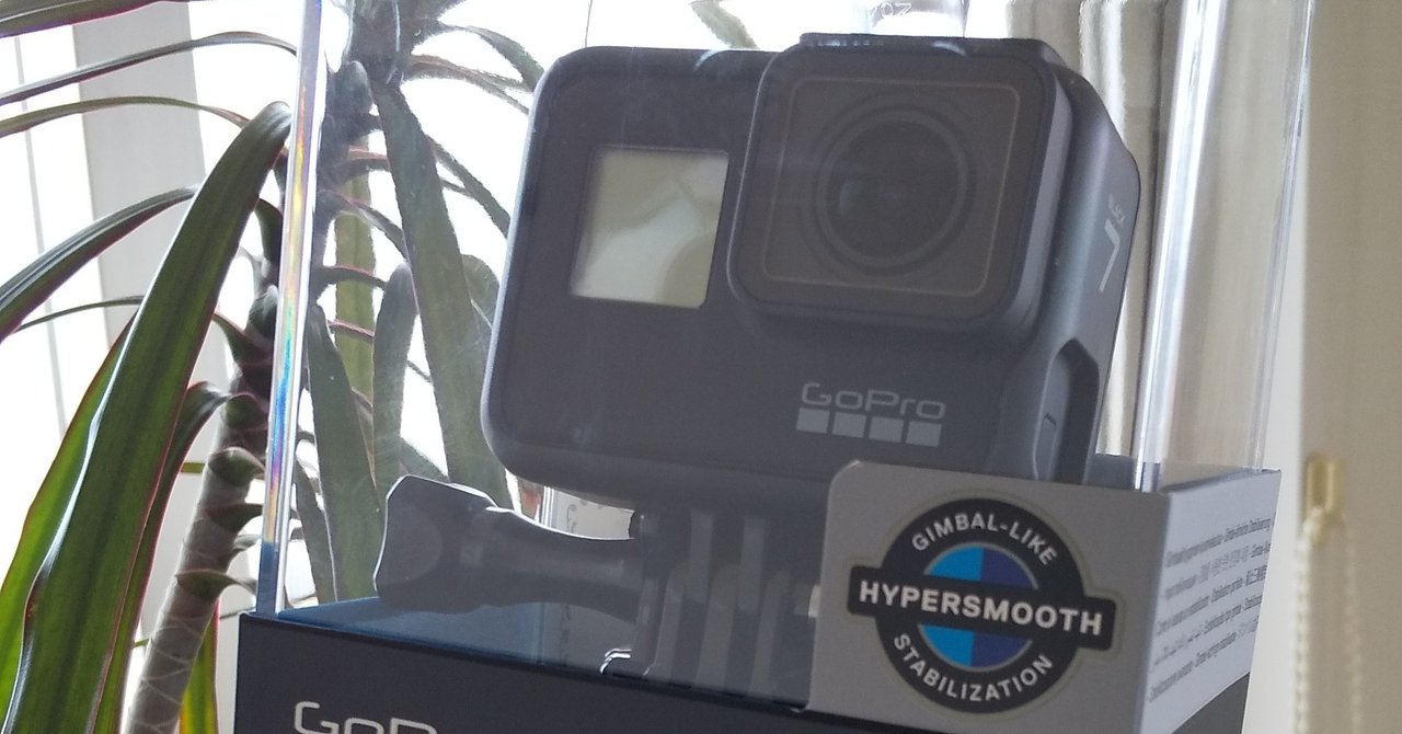 Gopro買いました 給付金の使い道 治療系カイロプラクター トクミ Note