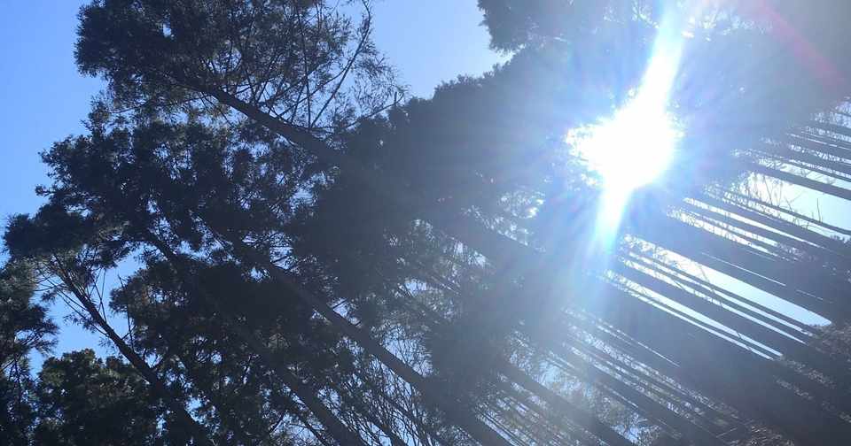 檜原村 田中林業視察 身近なことを研究するのが生き様 ゆかんこosoto Note