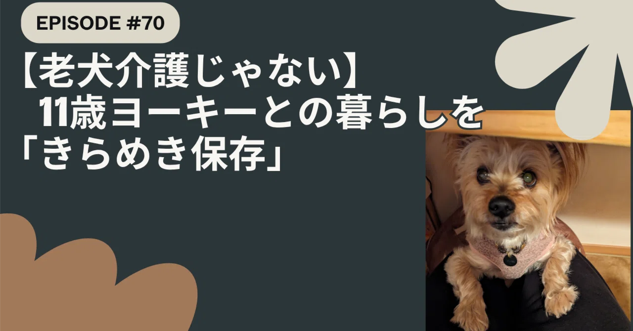ツブちゃん専用・自宅オフィス」の構築：24時間365日の、最高に甘い