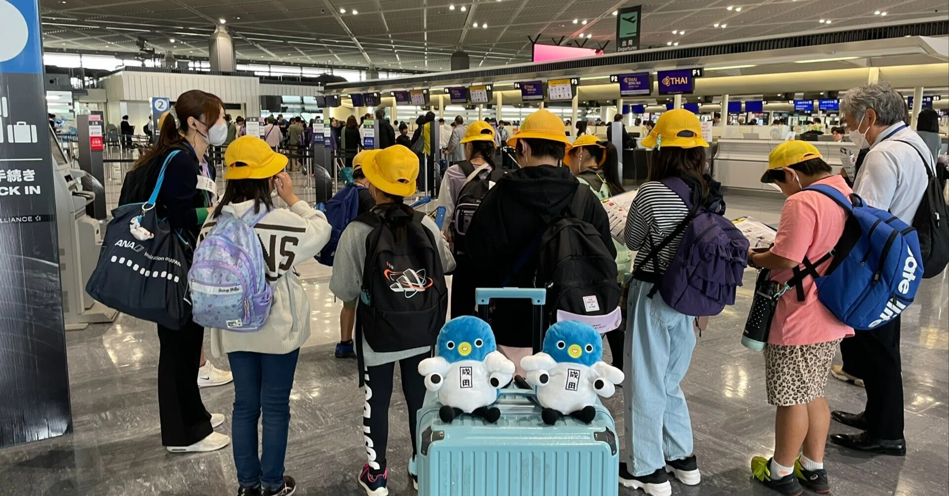 成田 空港 見学