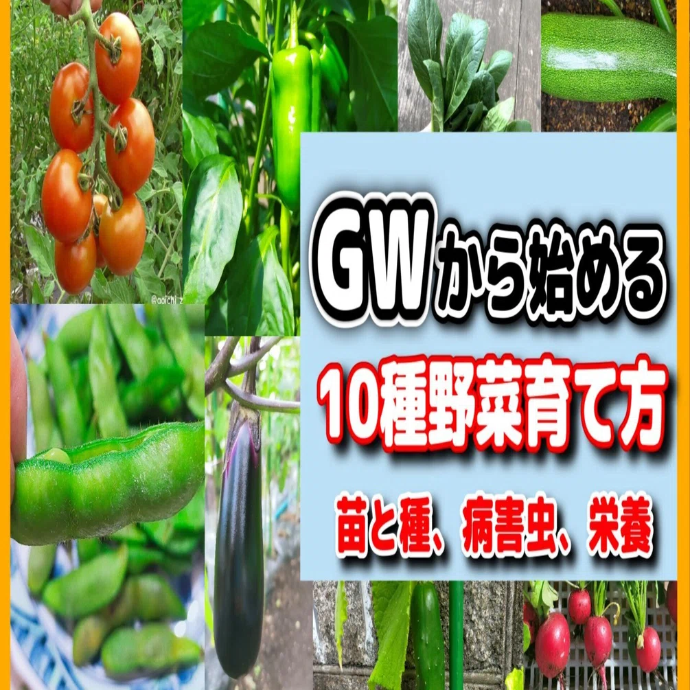 ゴールデンウィークから始める野菜10品の育て方秘訣｜Goichi Farm