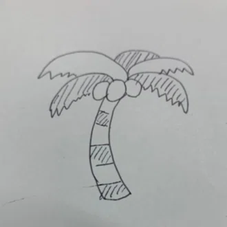 ヤシ