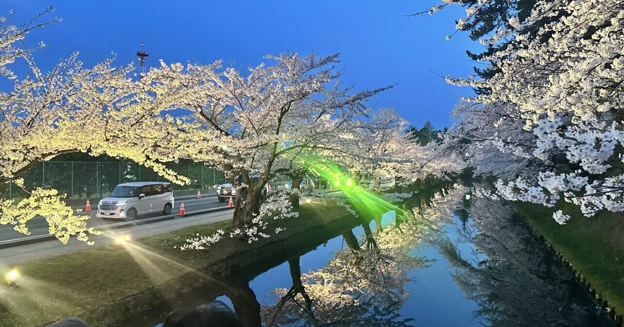 青森巡り】弘前公園で満開桜を見てきた。｜みぞ | 違和感のそばに置く言葉