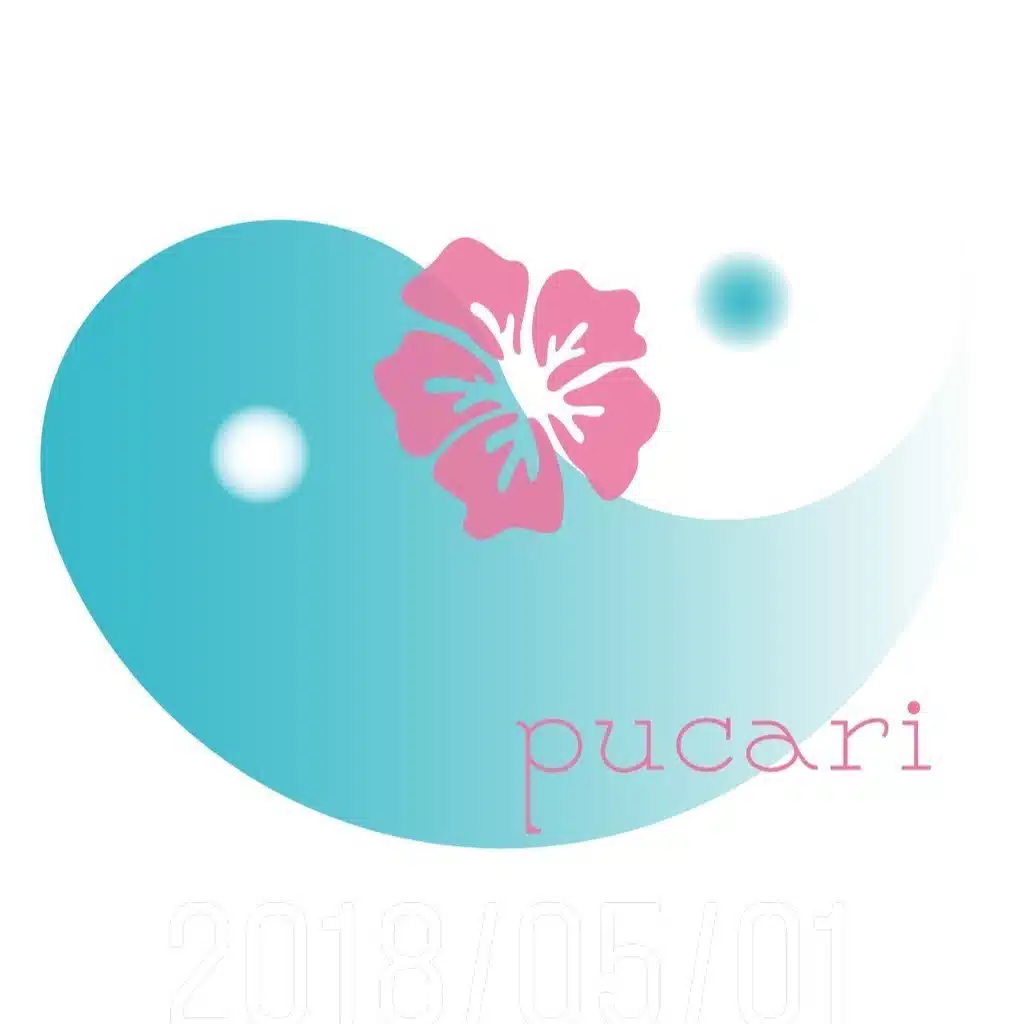 Saya(pucari)
