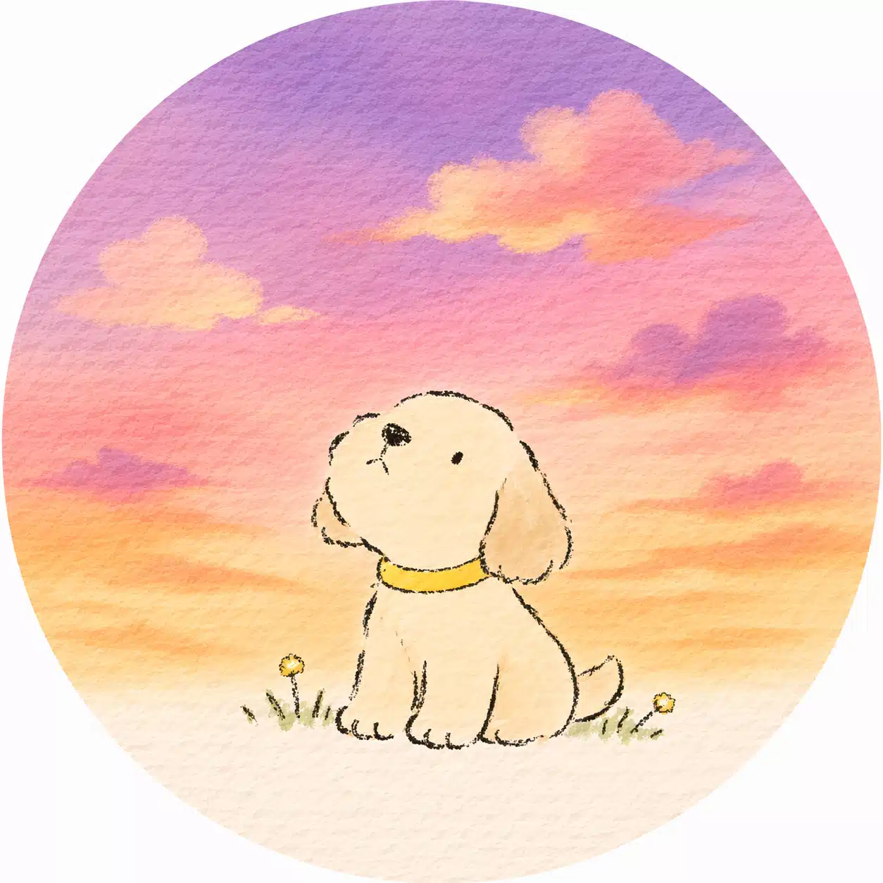 くんまま18時