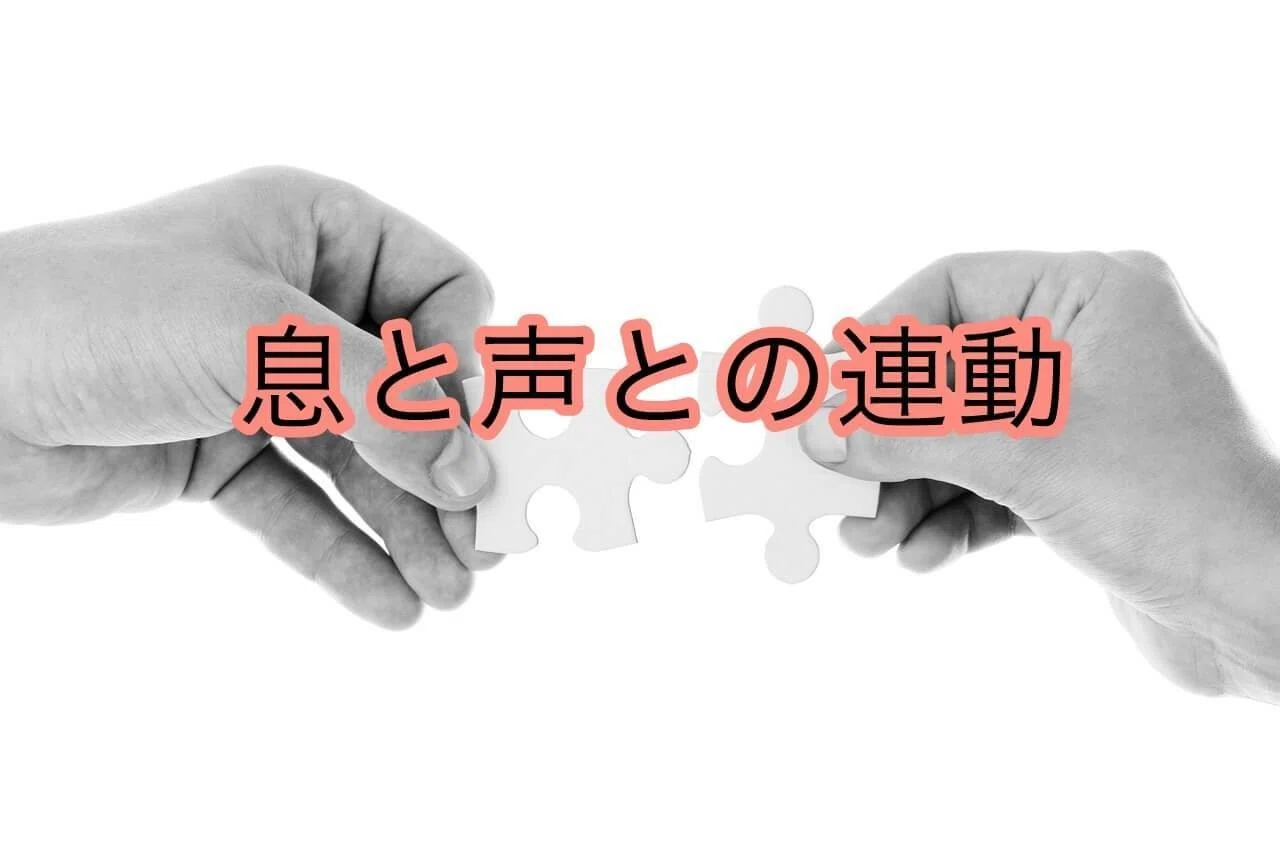 ミックスボイスの出し方と正体 2021年最新版 イチ Ichi 低音男子こそ努力すれば輝ける Note