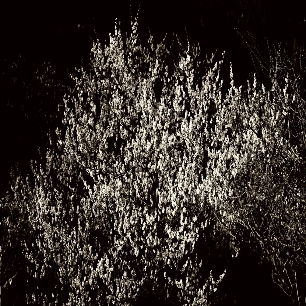 Today's selections #2776｜TakeKuroki