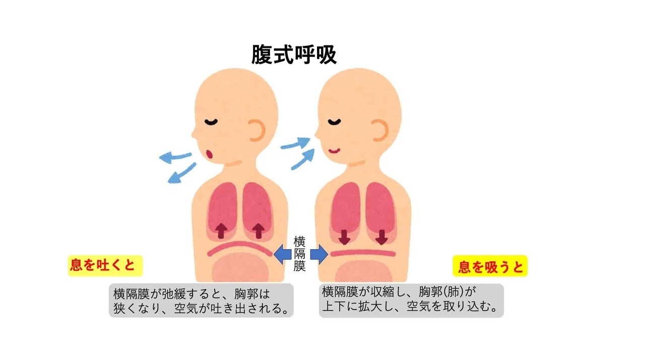 ミックスボイスで息を意識する重要性 習得までの近道 かめ男ブログ