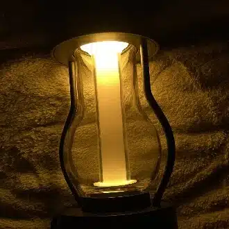 コサギ