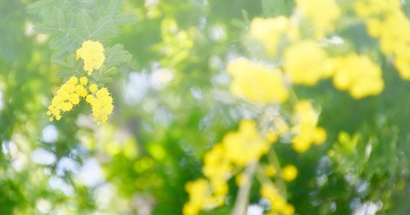 【Aeチュートリアル40本】5月振り返り