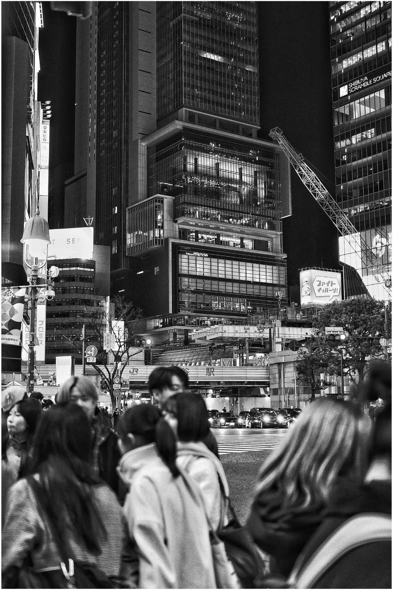 久しぶりの自己紹介｜わたしとカメラと写真