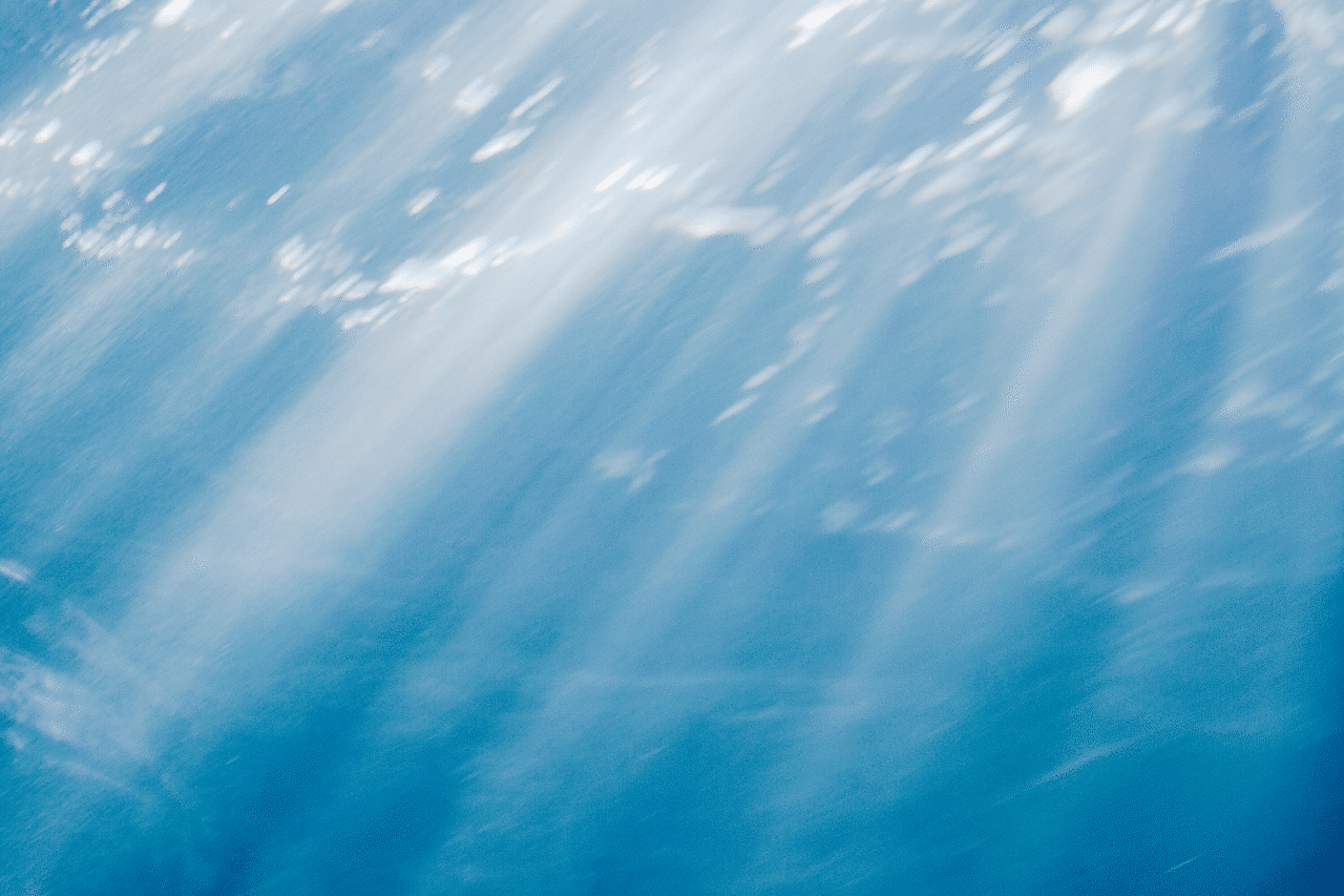 言葉と写真で大切な人に想いを伝えること 平井 裕士 Note