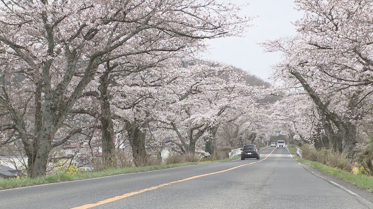 コロナ危機と報道カメラマン シリーズ「いま届けたい」②｜ニュースが