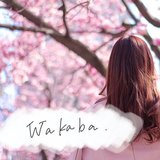 Wakaba 🌱院試対策
