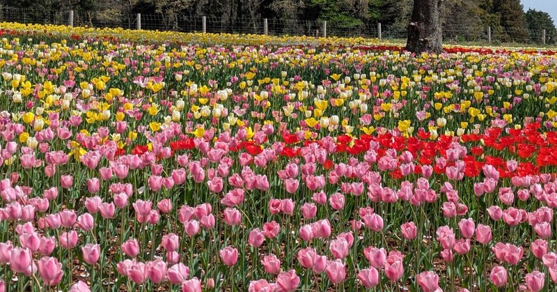 中央・蔵敷だべりサロン