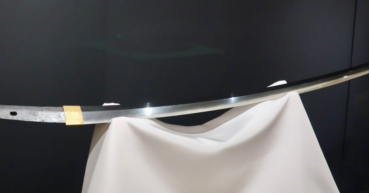 [Must-See! 2026 Spring Sword Exhibition Summary] Master Your Spring ...