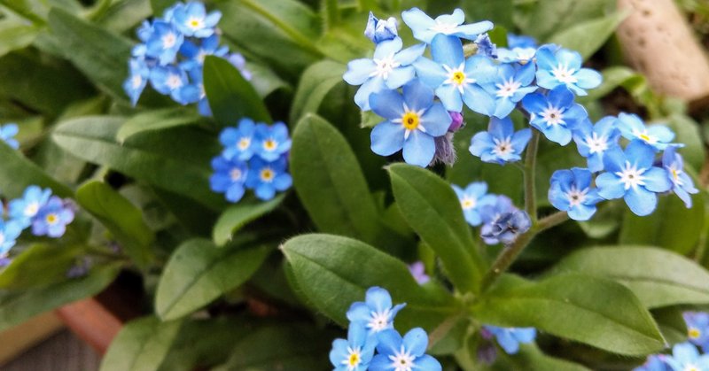 言葉は鋭利な刃物 むやみに振り回さないこと 榛名しおり Note